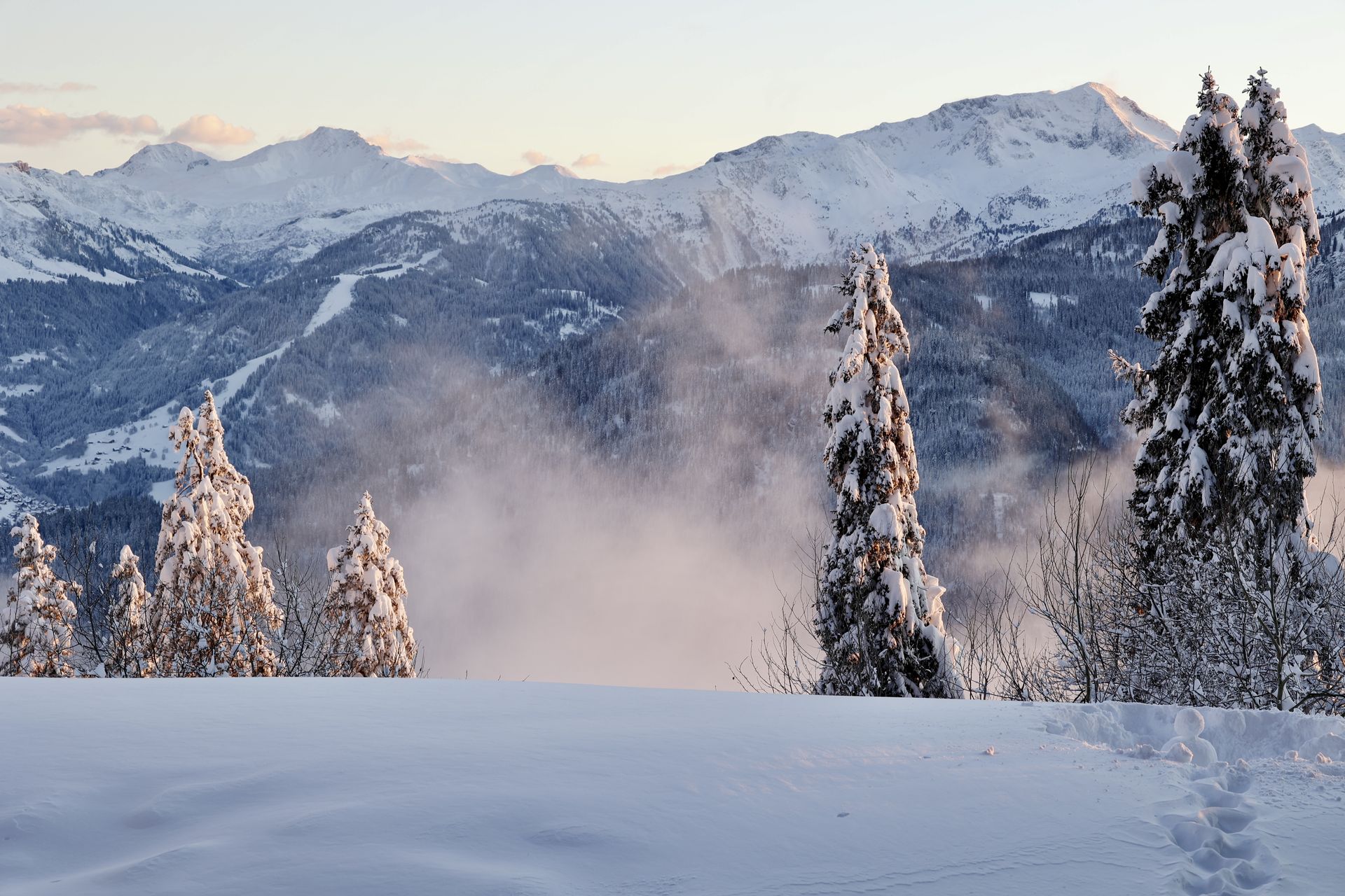 Winterlandschap met sneeuw, mist en dennenbomen in de Alpen